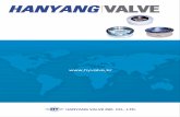 Hanyang Valve Dual Check Valve