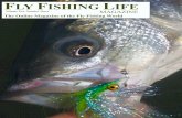 Fly Fishing Life Magazine Volume02Number03