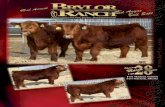 Brylor 42nd Annual Bull Sale