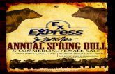 Express Ranches Spring Bull Sale