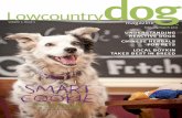 Lowcountry Dog Magazine Feb/March 2011