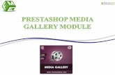 Advance PrestaShop Video Gallery Extension by FME