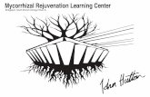 Mycorrhizal Rejuvenation Learning Center