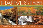 Harvest Fall 2012