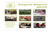 Future Creative Impact Report 2013