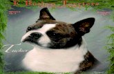 E Boston Terriers December 2011 Edition