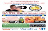 Catalog Hipermarket Carrefour Buzau