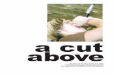 2010 A Cut Above, Yearbook