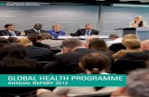 Global Health Programme - Rapport annuel 2013