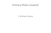 Primary Photo Research