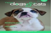 Texas Dogs & Cats Magazine- April 2010