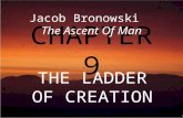 Jack Oughton - The Ascent Of Man - Chapter 09