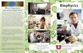 Brochure: Biophysics Program