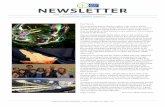 Carbon Market Watch Newsletter Issue #1, Nov 2012