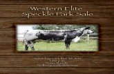 Western Elite Speckle Park Sale