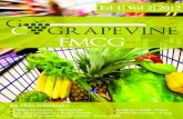On the GC Grapevine - Emerging Europe - Edition 1