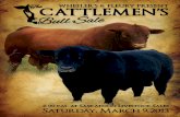 The Cattlemen's Bull Sale