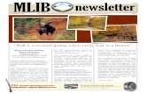 MLIB newsletter november