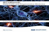 Scotland: Stem Cells and Regenerative Medicine