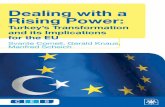 Dealing with a Rising Power: Turkey's Transformation and its Implications for the EU