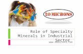 Role of Specialty Minerals in Industrial Sector