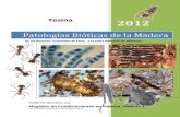 Patologias Bioticas de la Madera_Cap 3_Ciclo del Carbono