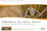 Moths in the Sun