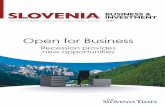 Slovenia Business & Investment 2011