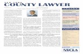 NY County Lawyer
