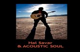 Hal Savar's Acoustic Soul Press kit
