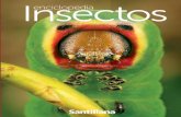 Enciclopedia Insectos
