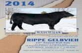 Rippe Gelbvieh - 15th Annual Bull Sale