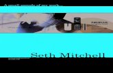 Seth Mitchell Planning Portfolio