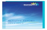 Activity report 2013 200613 final