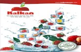 Frozen Fruit Feza brochure 2013