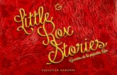Little Rox Stories