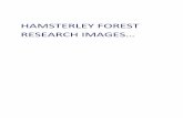 Hamsterley Forest Research Images