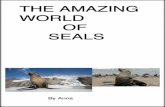 The Amazing World of Seals