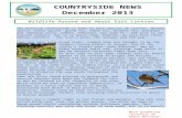 Countryside News - December