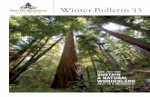 BULLETIN: Save the Redwoods League Winter Bulletin 2013