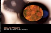 Broad Vision: the art and science of looking