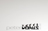 peter works 2007-2011