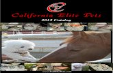 California Elite Pets Catalog 2012