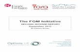 FGM Initiative Second Interim Report (full) September 2012