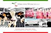 Gruppo Vercelli -  Company Profile