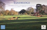 Tandridge Course restoration Phase I
