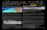 Harbor Tides April 15th, 2013