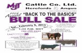 MJT Cattle Back To The Basics Bull Sale 2013