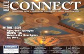 Blue Connect, Issue 1, January 2014