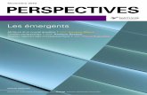 Perspectives 11.2010